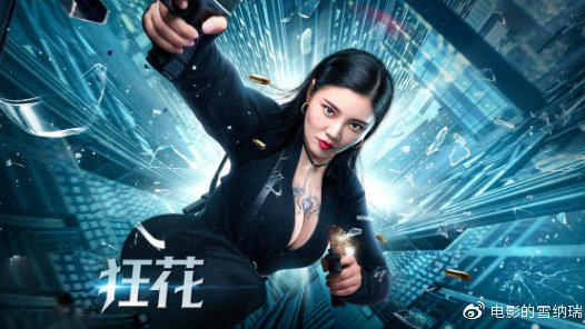 奈良高等科学技術研究科公共管理文凭证书